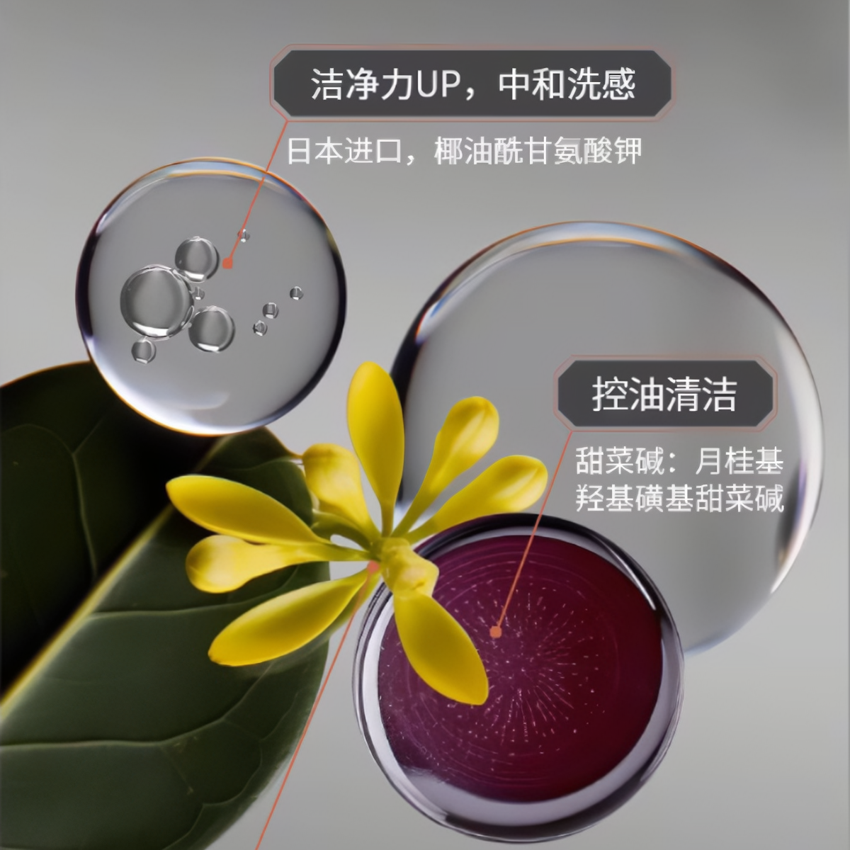 购物之前要识货 正品保障|平台比价|售后无忧