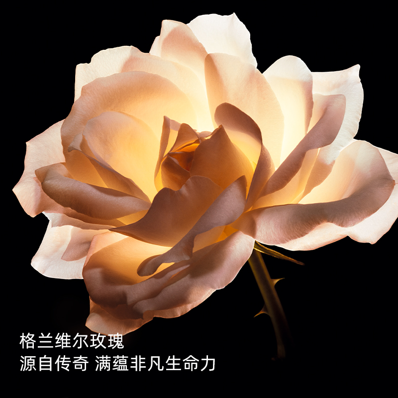 购物之前要识货 正品保障|平台比价|售后无忧