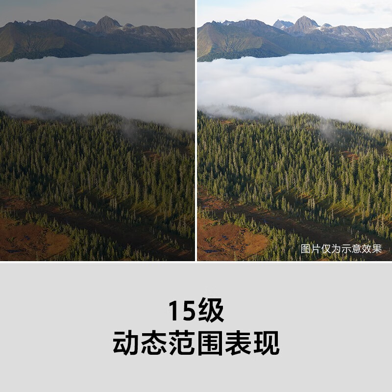 购物之前要识货 正品保障|平台比价|售后无忧