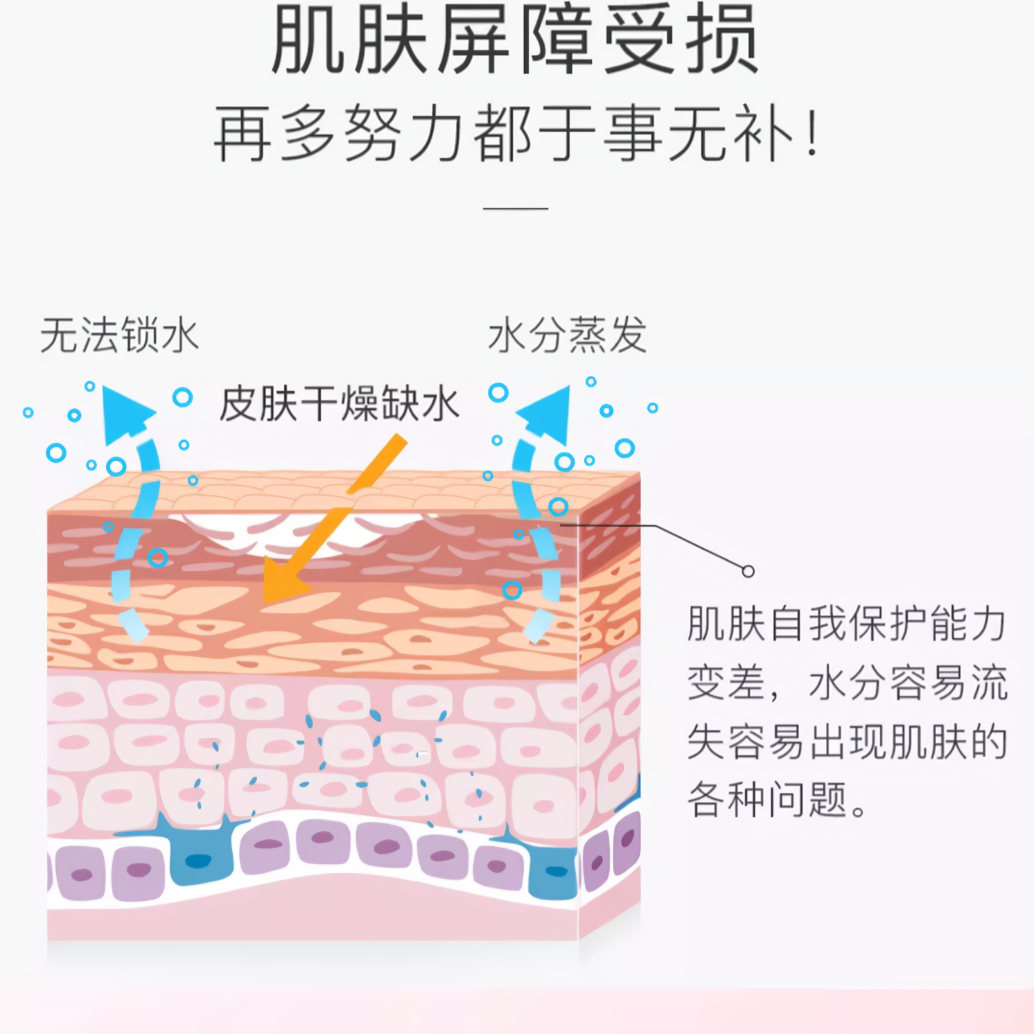 购物之前要识货 正品保障|平台比价|售后无忧