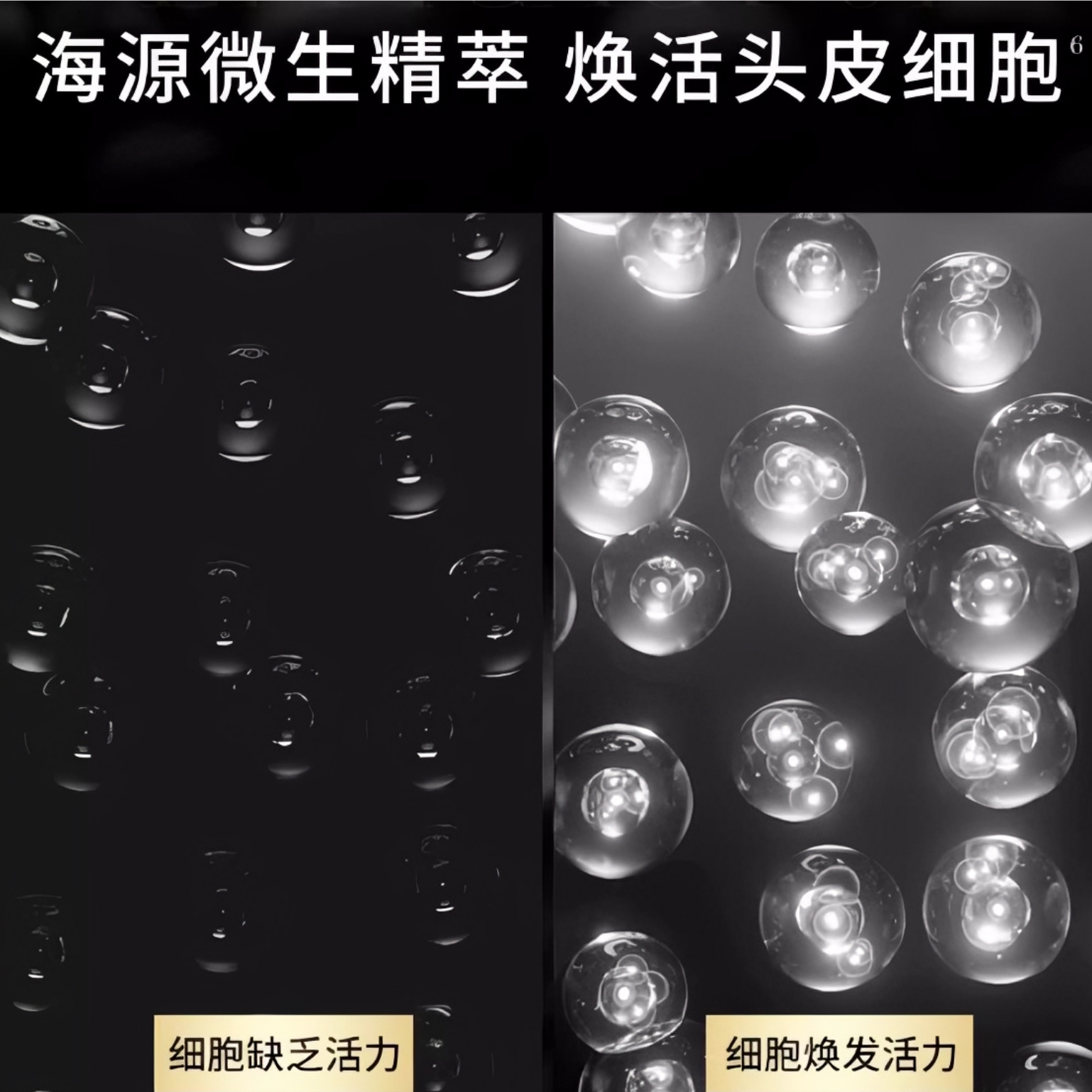 购物之前要识货 正品保障|平台比价|售后无忧