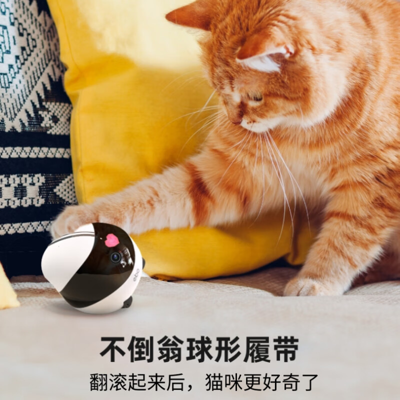 推荐商品：Enabot 逗猫智能陪伴机器人双向对讲全屋遥控逗宠移动监控养宠
