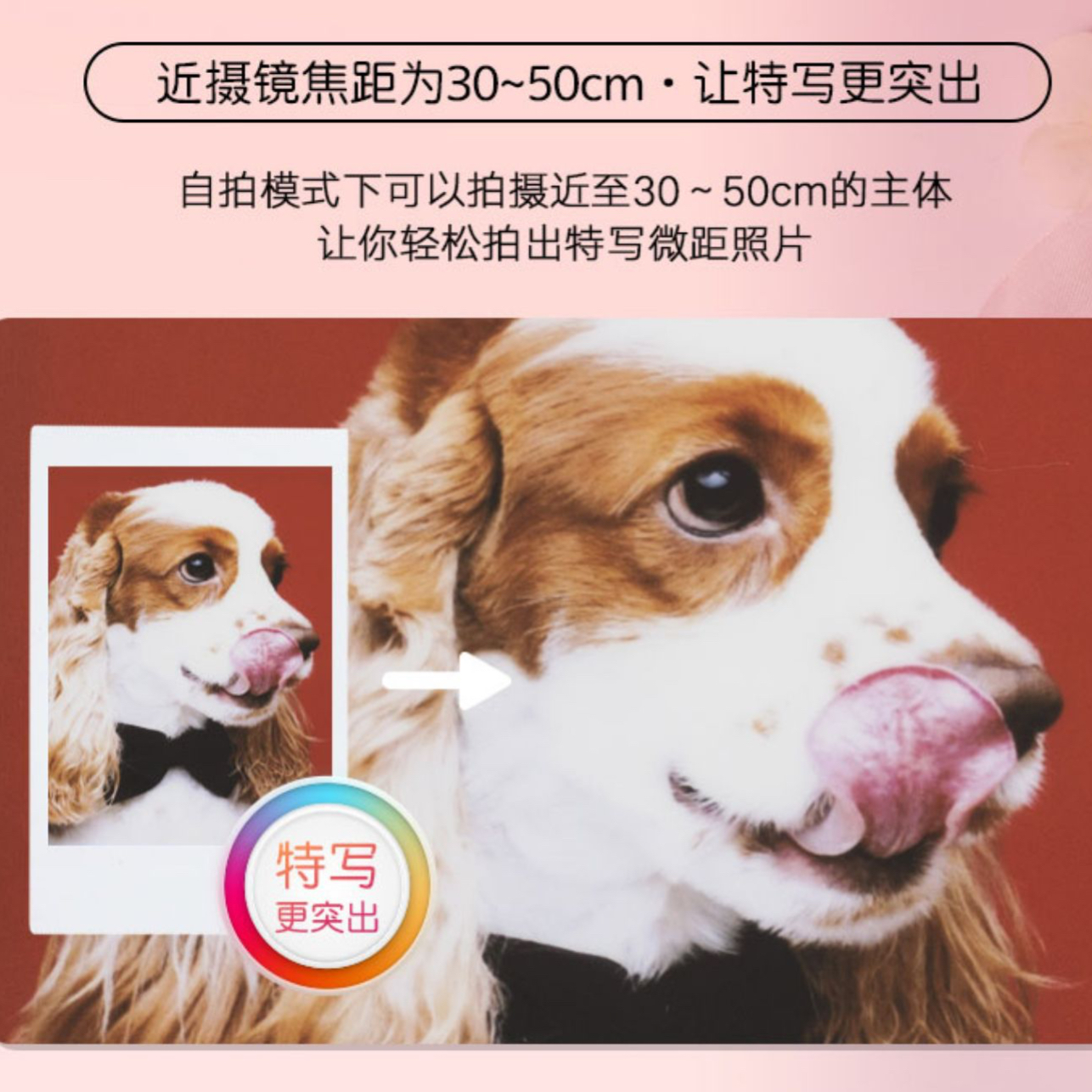 购物之前要识货 正品保障|平台比价|售后无忧