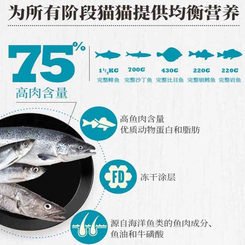购物之前要识货 正品保障|平台比价|售后无忧