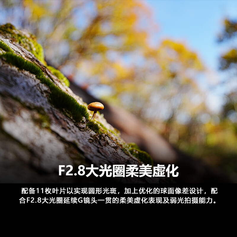 购物之前要识货 正品保障|平台比价|售后无忧