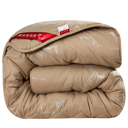 保暖舒适！俏精灵冬季加厚保暖羊毛被