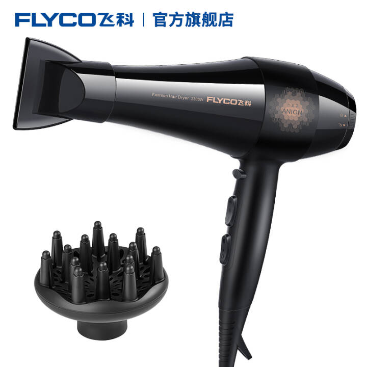飞科（FLYCO） 电吹风机家用FH6105