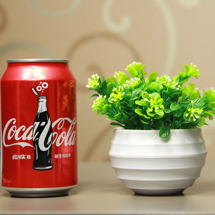 小白菜！仿真米兰 仿真玫瑰套装 室内仿真盆栽 带盆