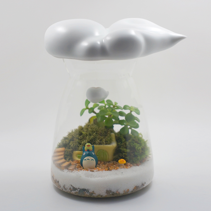 且听风吟 DIY苔藓微景观生态瓶   默认配色
