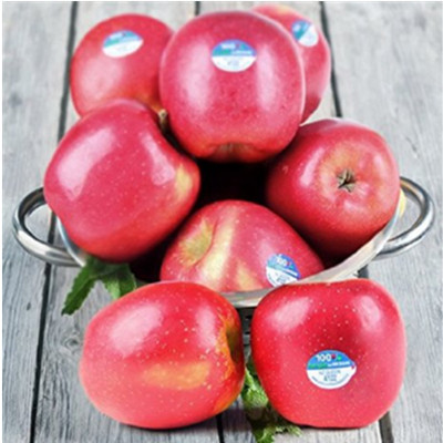进口苹果！都乐 新西兰红玫瑰苹果queen12只