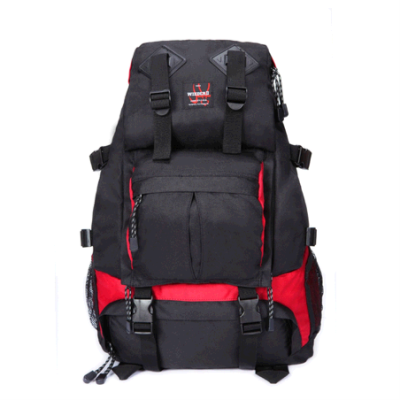 历史好价!丹仪Danyi户外双肩包