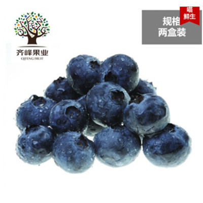 好价！齐峰缘智利进口蓝莓2盒125g每盒
