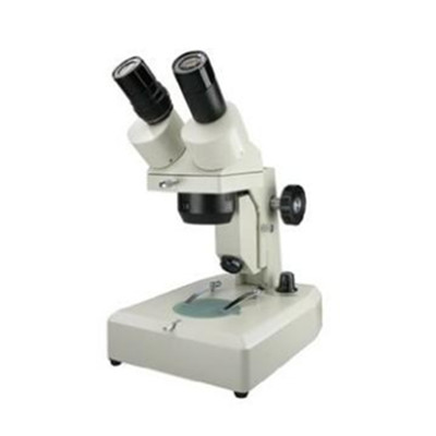 全网好价！Phenix凤凰 XT-III-40X/连续变倍体视显微镜(白色)