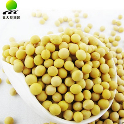 放心食用！北大荒 非转基因黄豆 750g*2袋