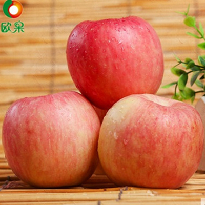 汁多爽口！欧果 烟台栖霞红富士苹果