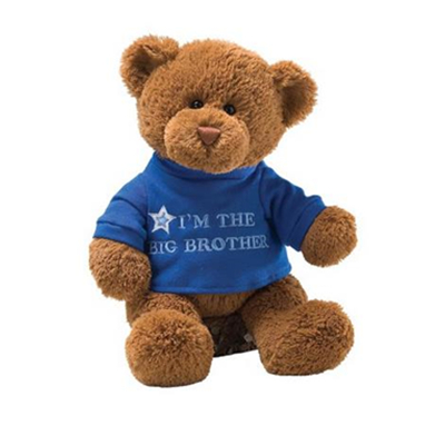 圣诞节好礼！Gund I'm The Big Brother 毛绒熊玩具