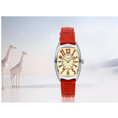 白菜价！卡西欧 (CASIO)  石英女表 LTP-1208E-9B2