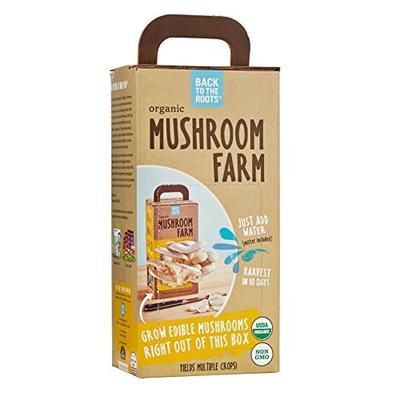 边长边吃！Back to the Roots 家庭有机平菇小农场