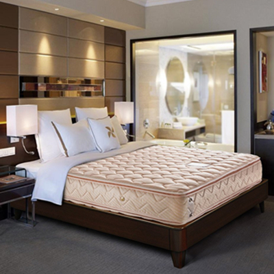 镇店之宝！金可儿喜来登 美玉床垫+七孔枕一对