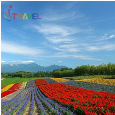 最美空港！北京出发日本北海道5天4晚自由行