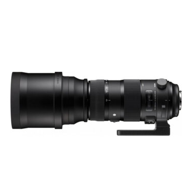 长炮！适马（SIGMA）150-600mm F5-6.3 DG OS HSM