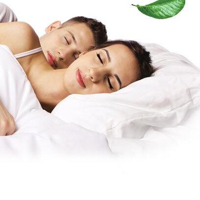 历史新低！TAIPATEX 天然泰国乳胶枕头