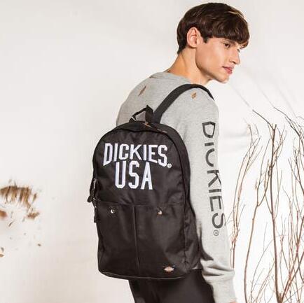 质量轻容量大！Dickies  双肩背包 153U90EC21NV00
