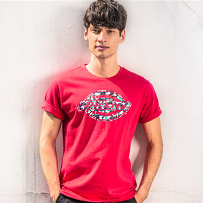 新低！Dickies迷彩logo印花短袖T恤162M30EC22