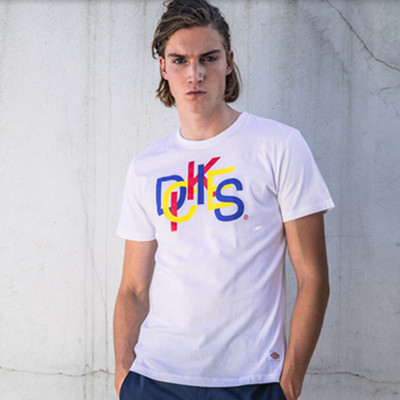 经典款！Dickies男式印花彩虹印花短袖T恤152M30WD08