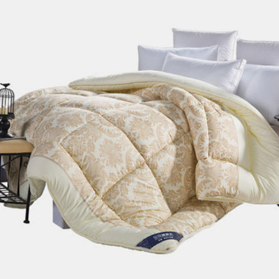 全尺寸！兰花情冬季加厚保暖棉被