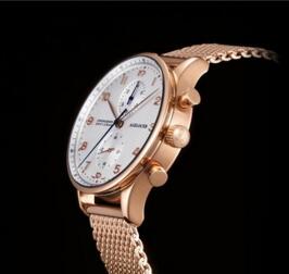 绅士系列！agelocer 艾戈勒 瑞士A1750石英机芯男表