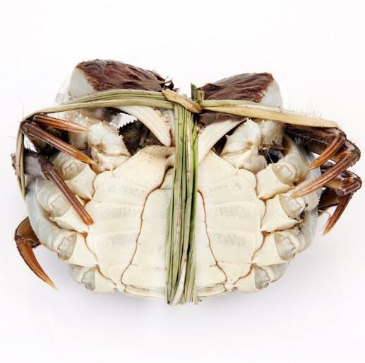 吃蟹啦！姑苏渔歌 阳澄湖大闸蟹礼券998型 8只装提货卡