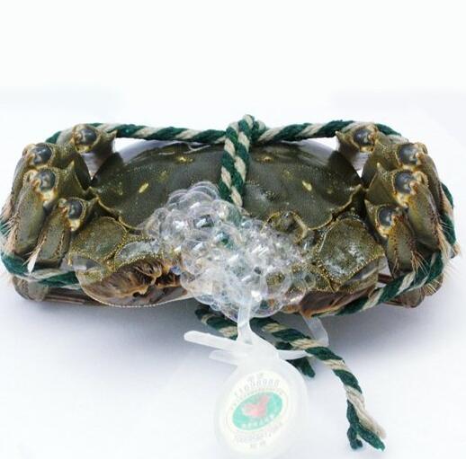 鲜嫩饱满！苏蟹皇 阳澄湖大闸蟹礼券1288型 8只装礼卡