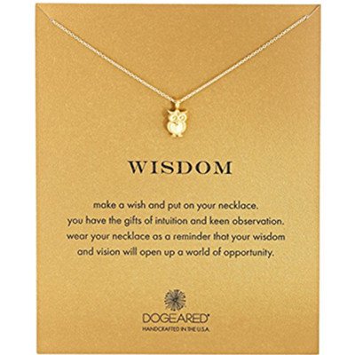 精美！ Dogeared 朵吉兒 镀金猫头鹰 纯银锁骨链