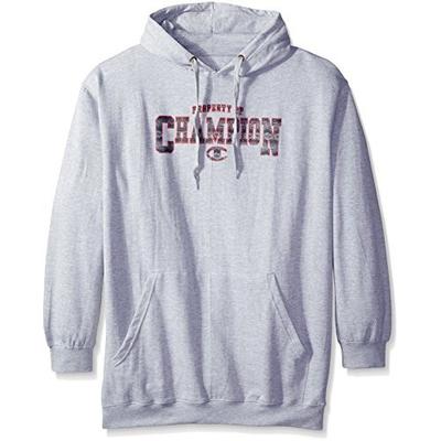 大logo！champion Fleece Raglan 男士卫衣