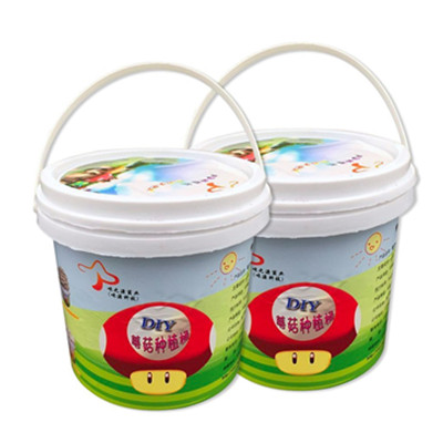 乐享生活！嗨绿 DIY种植食用菌盆栽 平菇和白玉菇组合