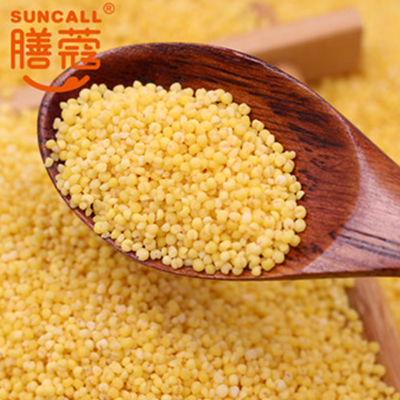 双11好价！膳蔻 刘家屯东北黄小米500g*3