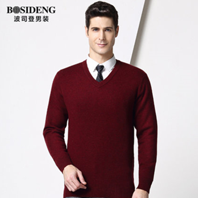 双11好价！波司登 男装100%纯羊毛衫