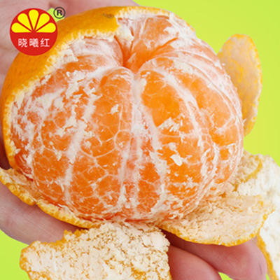 双11好价！晓曦红 宜昌三峡蜜桔 5斤装