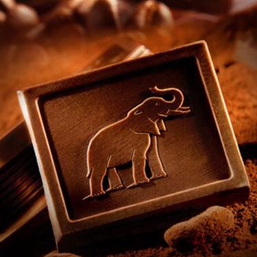 2件5折！Cote D'or克特多金象 黑巧克力排装100g*2