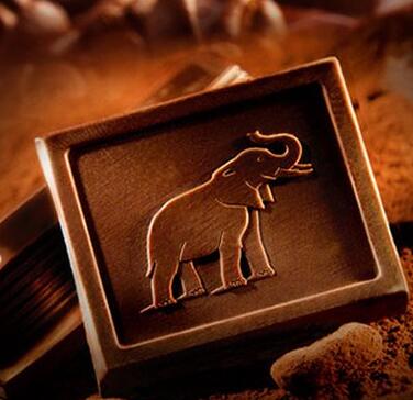 圣诞礼物！克特多金象黑巧克力-片装1.2千克