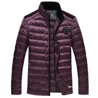 简约保暖！北极绒男式立领修身羽绒服B430617711