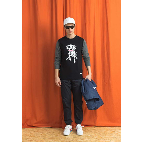 趣味时尚！Preppy Elite 斑点狗撞色毛衣