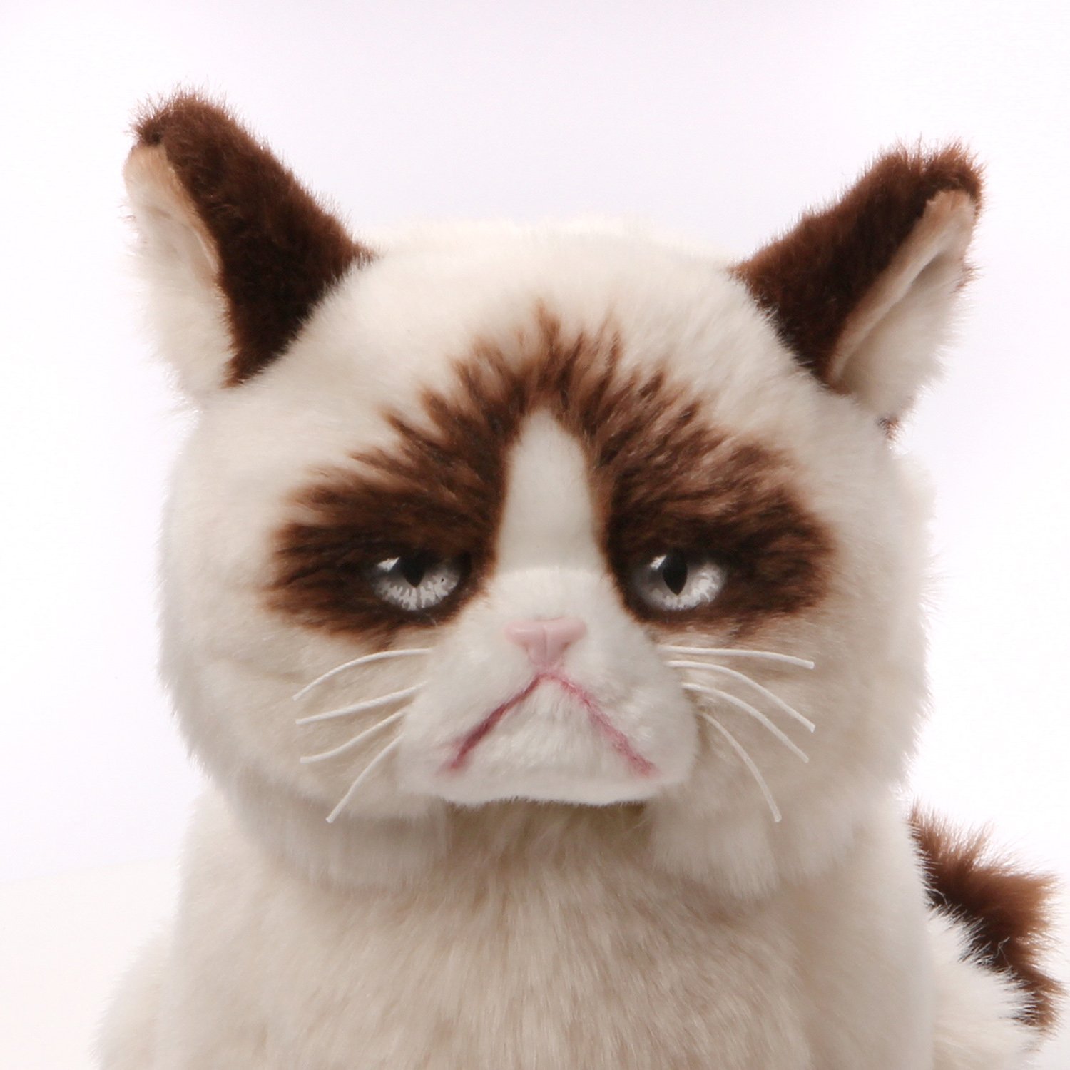 网红玩具！GUND Grumpy Cat  暴躁猫毛绒玩具 23cm