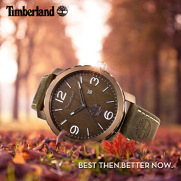 别致优雅！Timberland TBL.14399XSBN/12男士腕表