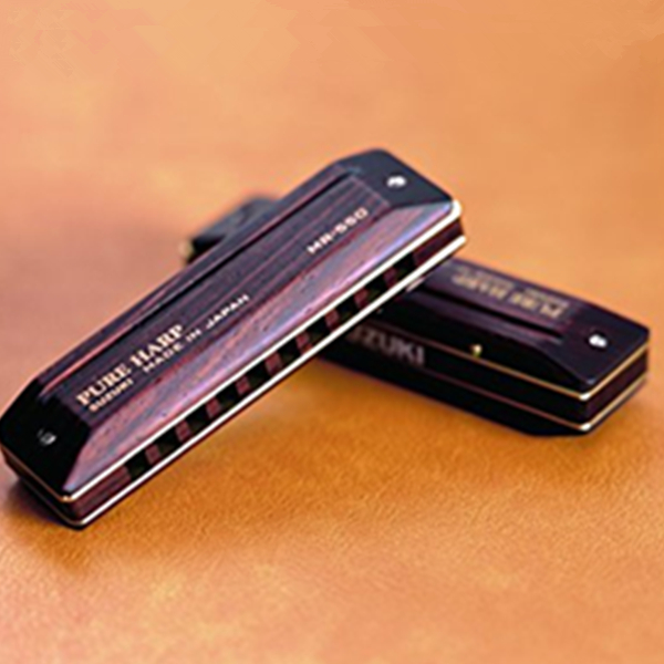 炫技小能手！SUZUKI 铃木MR-550 十孔口琴 C调