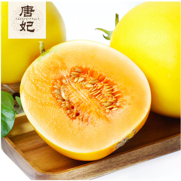 现摘现发！唐妃大漠黄金蜜瓜8斤