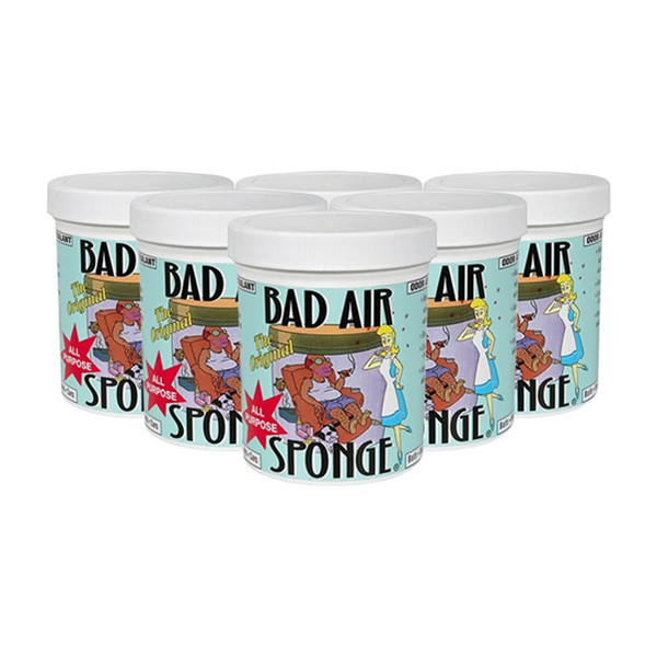 呵护健康！BAD AIR SPONGE 空气净化剂6件装