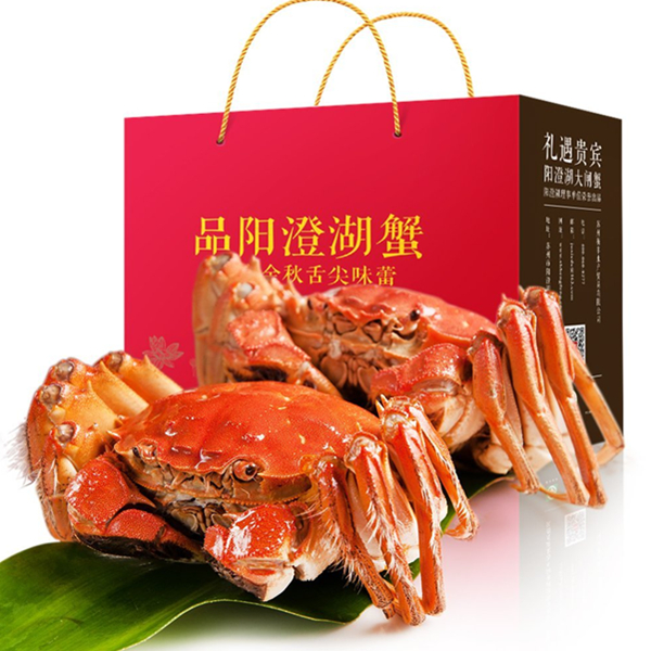 鲜活现货！阳澄湖大闸蟹2.8~2.2两8只装