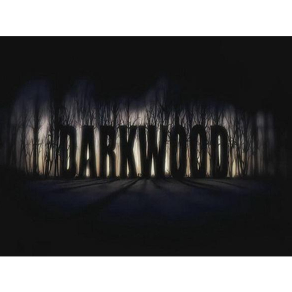 《Darkwood 阴暗森林》PC数字游戏